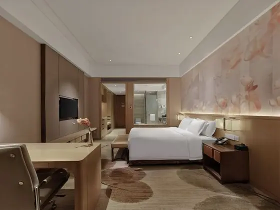 Standard Oda, Business Dinlenme Salonu Kullanımı, Nehir Manzaralı (Lounge Access)