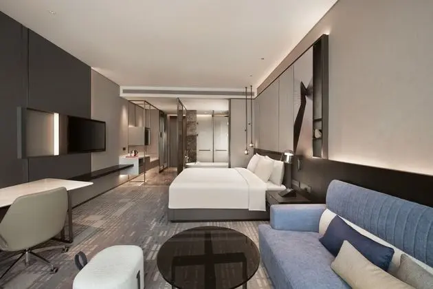 Premium Oda, 1 En Büyük (King) Boy Yatak, Engellilere Uygun (Lounge Access)