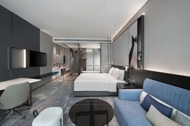 Premium Oda, 1 En Büyük (King) Boy Yatak, Engellilere Uygun (Lounge Access)