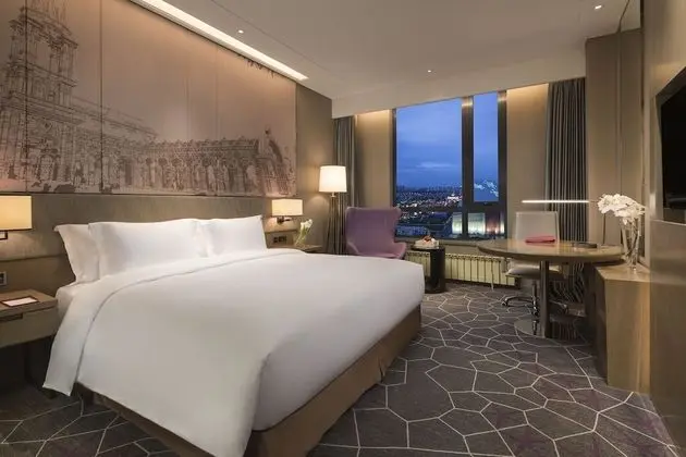 Premium Oda, 1 En Büyük (King) Boy Yatak (Lounge Access)