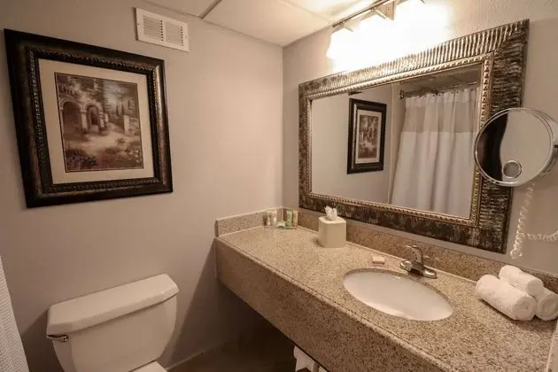 Oda, 1 En Büyük (King) Boy Yatak, Sigara İçilmez
