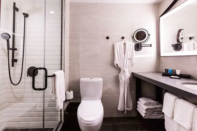 Süit, 1 En Büyük (King) Boy Yatak (Mobility, Roll-In Shower)