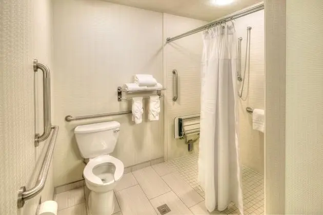 Premium Oda, 1 En Büyük (King) Boy Yatak, Engellilere Uygun (Roll-In Shower)