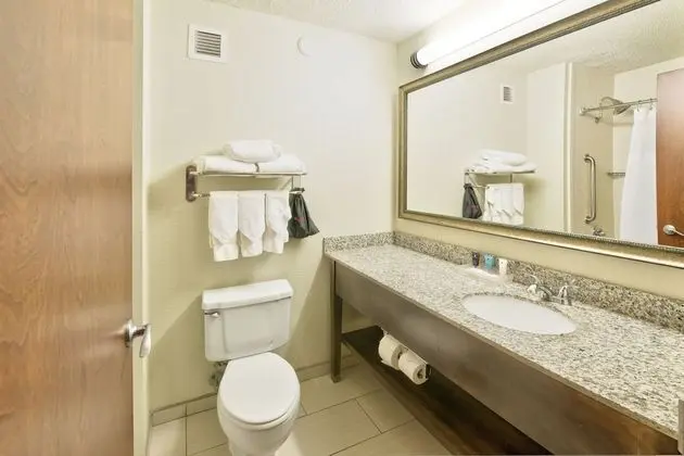 Standard Oda, 1 En Büyük (King) Boy Yatak, Engellilere Uygun (Accessible Tub)
