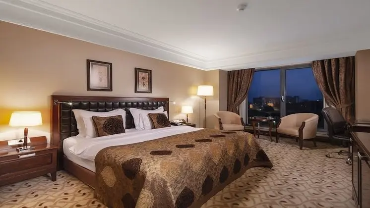 Premium Oda, 1 En Büyük (King) Boy Yatak, Engellilere Uygun, Business Dinlenme Salonu Kullanımı