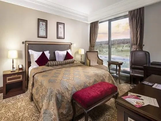 Premium Oda, 1 En Büyük (King) Boy Yatak, Engellilere Uygun, Business Dinlenme Salonu Kullanımı