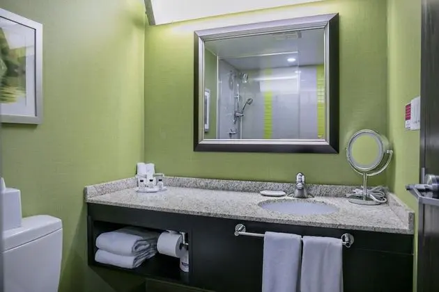 Premium Oda, 1 En Büyük (King) Boy Yatak, Engellilere Uygun (Communication, Accessible Tub)