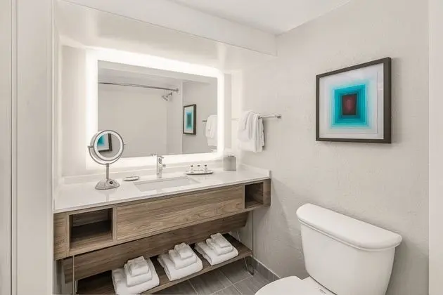 Standard Oda, 1 En Büyük (King) Boy Yatak, Engellilere Uygun (Accessible Tub)