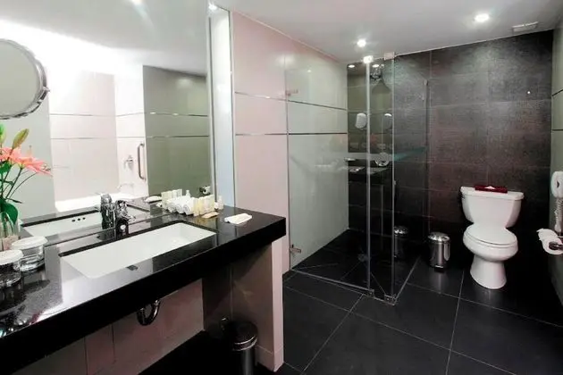 Premium Oda, 1 En Büyük (King) Boy Yatak, Şehir Manzaralı