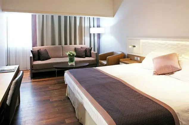 Standard Oda, 1 En Büyük (King) Boy Yatak ve Çekyat, Şehir Manzaralı