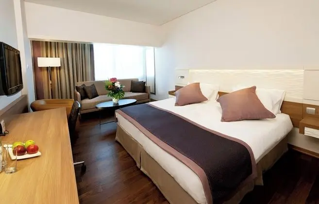 Standard Oda, 1 En Büyük (King) Boy Yatak ve Çekyat, Şehir Manzaralı
