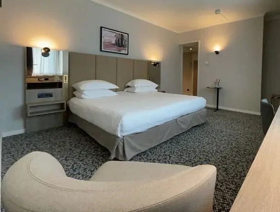 Premium Oda, 1 En Büyük (King) Boy Yatak (Pet Friendly)