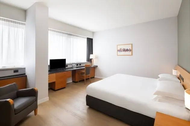 Premium Oda, 1 En Büyük (King) Boy Yatak (Pet Friendly)
