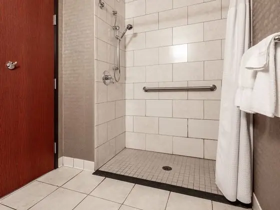 Standard Oda, 1 En Büyük (King) Boy Yatak, Engellilere Uygun (Communications, Roll-In Shower)