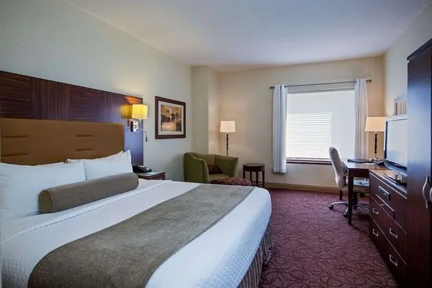 Superior Süit, 1 En Büyük (King) Boy Yatak (One Bedroom Suite King)