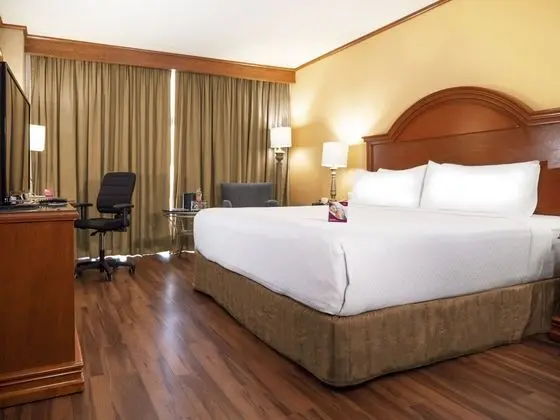 Standard Oda, 1 En Büyük (King) Boy Yatak, Business Dinlenme Salonu Kullanımı (Lounge Access)