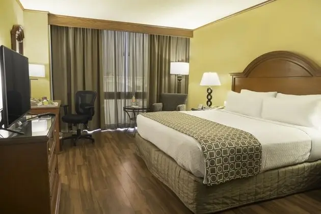 Standard Oda, 1 En Büyük (King) Boy Yatak, Business Dinlenme Salonu Kullanımı (Lounge Access)