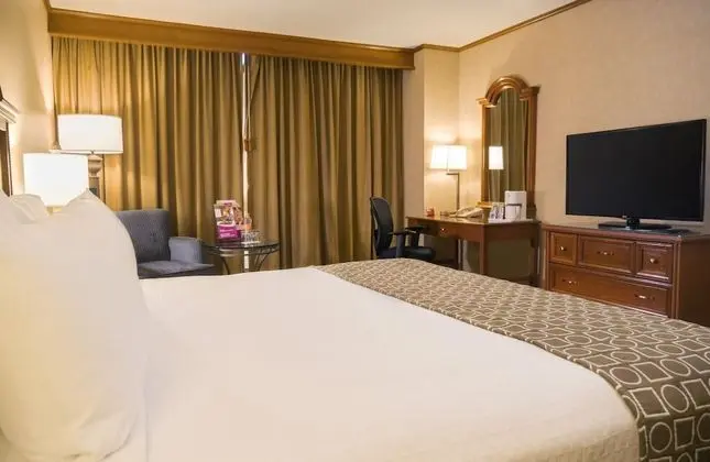 Standard Oda, 1 En Büyük (King) Boy Yatak, Business Dinlenme Salonu Kullanımı (Lounge Access)