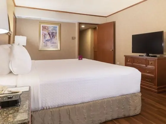 Standard Oda, 1 En Büyük (King) Boy Yatak, Business Dinlenme Salonu Kullanımı (Lounge Access)