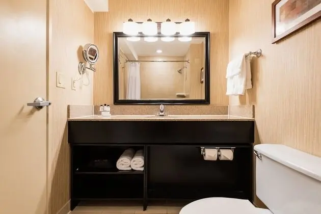 Standard Oda, 1 En Büyük (King) Boy Yatak, Şehir Manzaralı