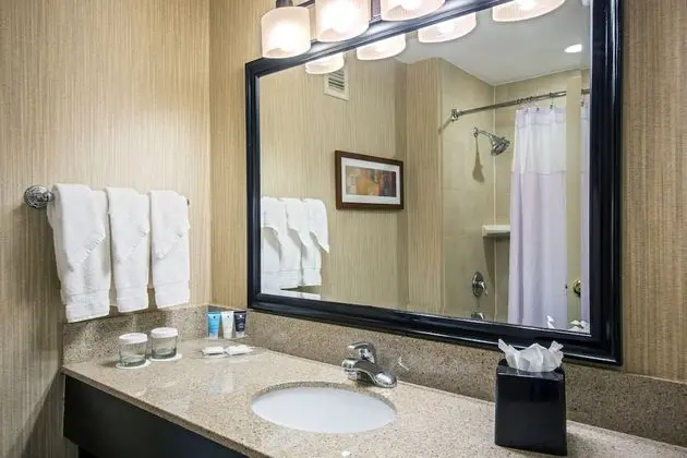 Standard Oda, 2 Çift Kişilik Yatak, Engellilere Uygun (Mobility, Accessible Tub)