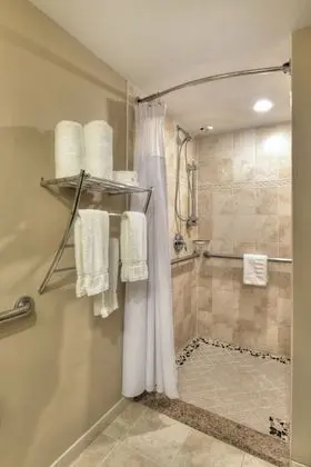Standard Oda, 1 En Büyük (King) Boy Yatak, Engellilere Uygun (Communications, Roll-In Shower)