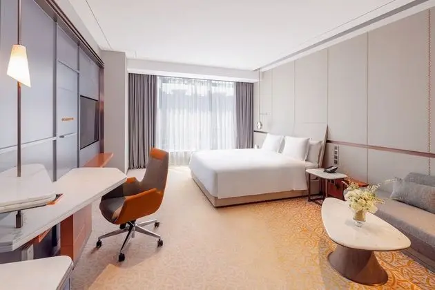 Premium Oda, 1 En Büyük (King) Boy Yatak (Lounge Access)