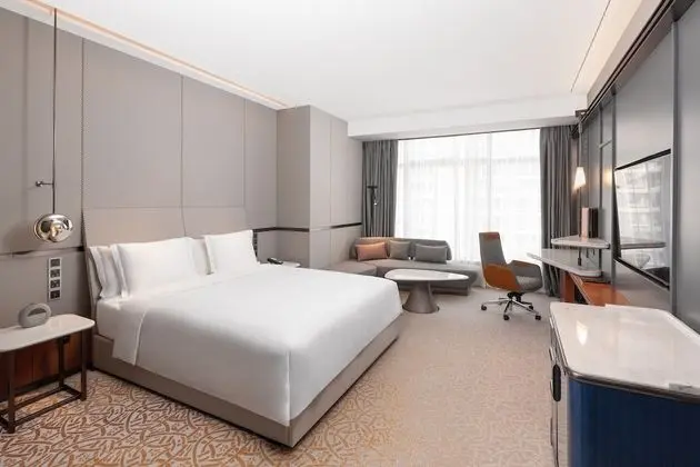 Premium Oda, 1 En Büyük (King) Boy Yatak (Lounge Access)