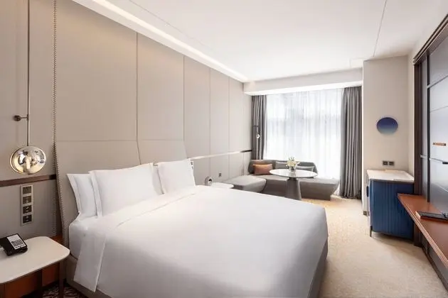 Premium Oda, 1 En Büyük (King) Boy Yatak (Lounge Access)