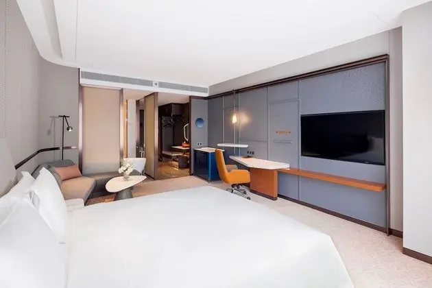 Premium Oda, 1 En Büyük (King) Boy Yatak (Lounge Access)