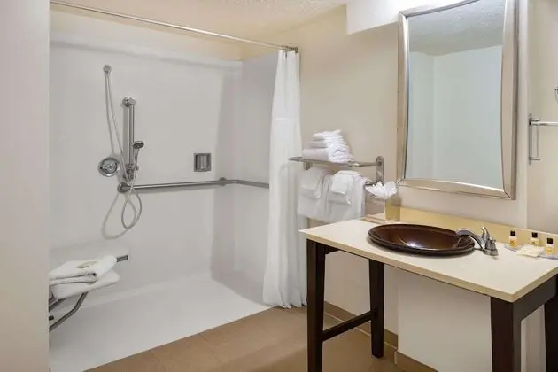 Oda, 1 Çift Kişilik Yatak, Engellilere Uygun, Sigara İçilmez (Mobility Roll-In Shower)