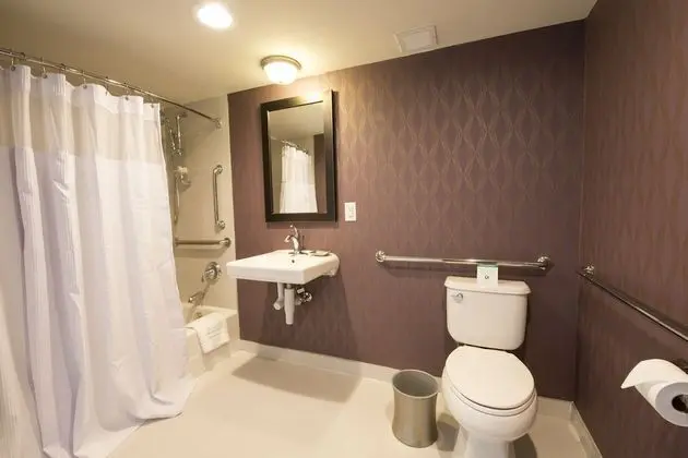 Junior Süit, 1 Çift Kişilik Yatak, Engellilere Uygun (Communications, Accessible Tub)