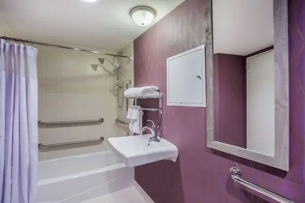 Junior Süit, 1 Çift Kişilik Yatak, Engellilere Uygun (Communications, Accessible Tub)