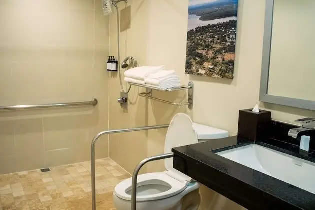Oda, 1 En Büyük (King) Boy Yatak, Engellilere Uygun (Roll-In Shower)