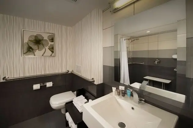 Standard Oda, 1 En Büyük (King) Boy Yatak, Engellilere Uygun (Comm, High Floor)