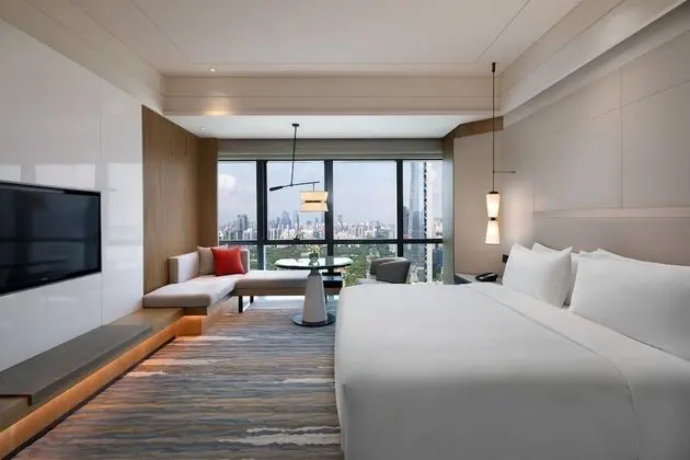 Standard Oda, 1 En Büyük (King) Boy Yatak, Şehir Manzaralı