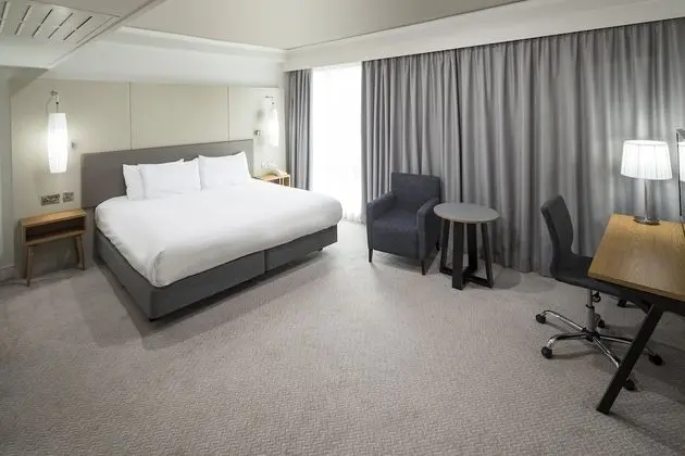Süit, 1 Yatak Odası (Lounge Access)