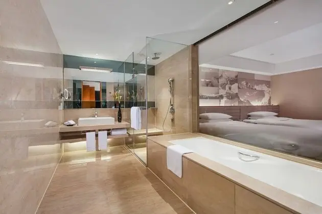 Premium Oda, 2 Tek Kişilik Yatak, Şehir Manzaralı