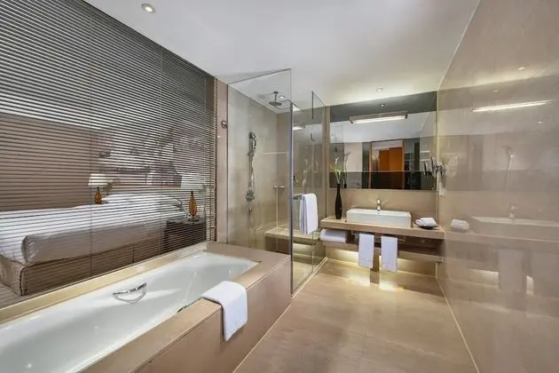 Premium Oda, 2 Tek Kişilik Yatak, Şehir Manzaralı