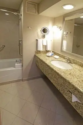 Standard Oda, 2 Çift Kişilik Yatak (Lounge Access)