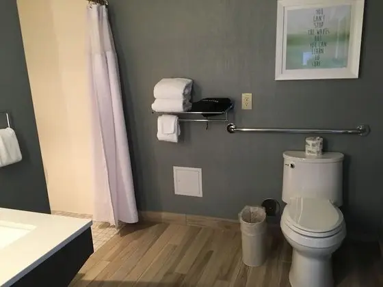 Standard Oda, 1 Büyük (Queen) Boy Yatak, Engellilere Uygun (Communications, Roll In Shower)