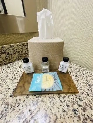 Deluxe Süit