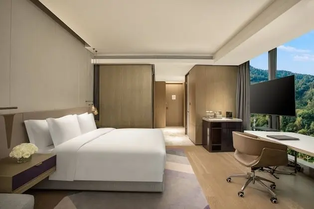 Standard Oda, 1 En Büyük (King) Boy Yatak, Dağ Manzaralı