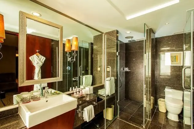 Standard Oda, 1 En Büyük (King) Boy Yatak, Business Dinlenme Salonu Kullanımı