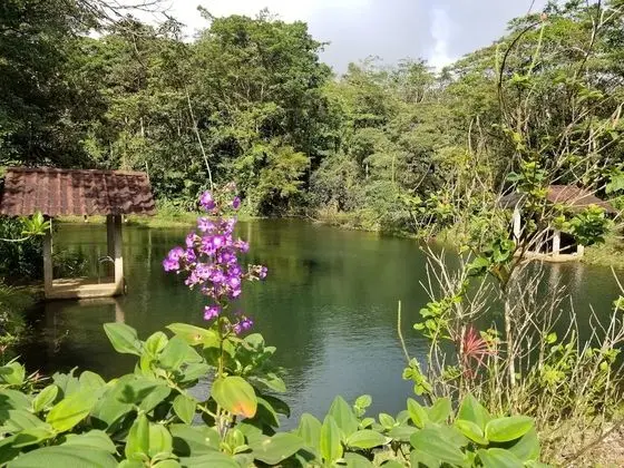 Traditional Kır Evi