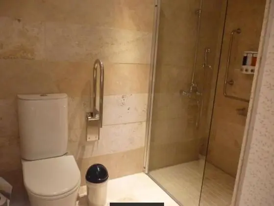 Standard Tek Büyük Yataklı Oda, 1 Çift Kişilik veya 2 Tek Kişilik Yatak, Bahçe Manzaralı
