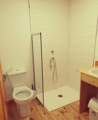 Ortak Ranzalı Oda, Karma Ranzalı Oda (1 Bed in 12 Bed Dorm)