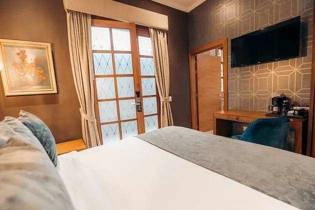 Deluxe Oda, 1 Çift Kişilik Yatak, Sigara İçilmez