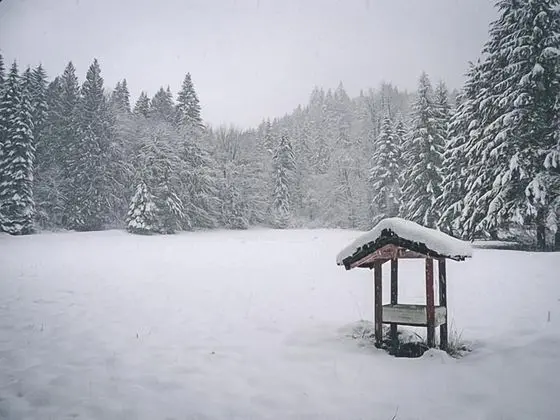 Kulübe, Birden Çok Yatak (Crystal Creek Chalet)