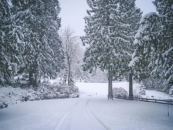 Kulübe, Birden Çok Yatak (Crystal Creek Chalet)